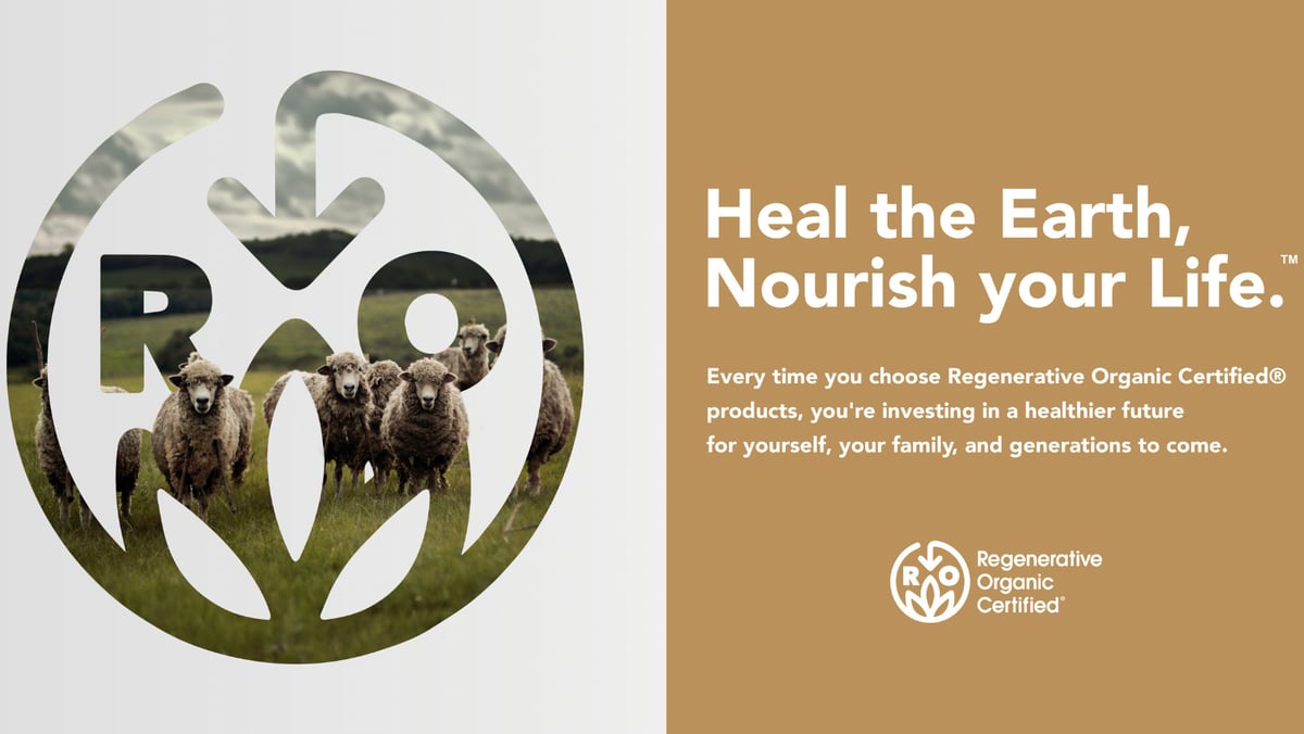 Copy of Newsletter banners (1)-1