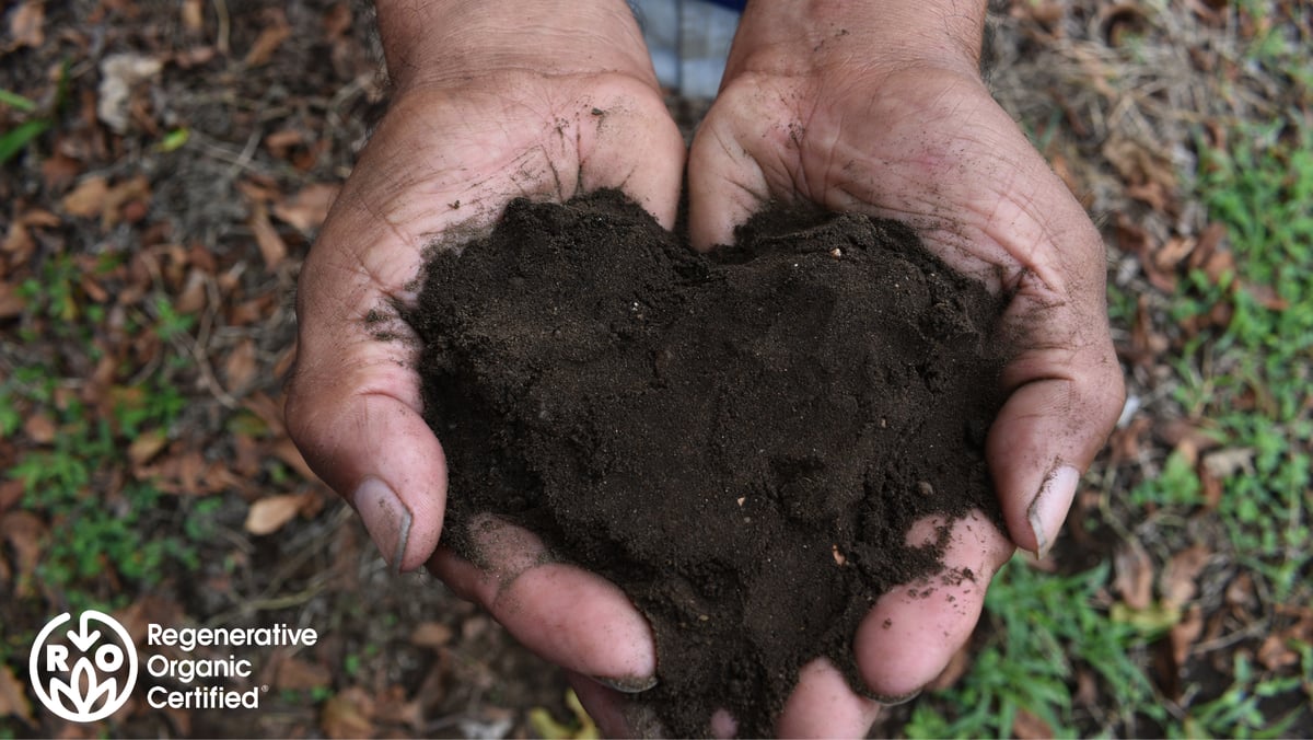 Copy of Newsletter banners-3