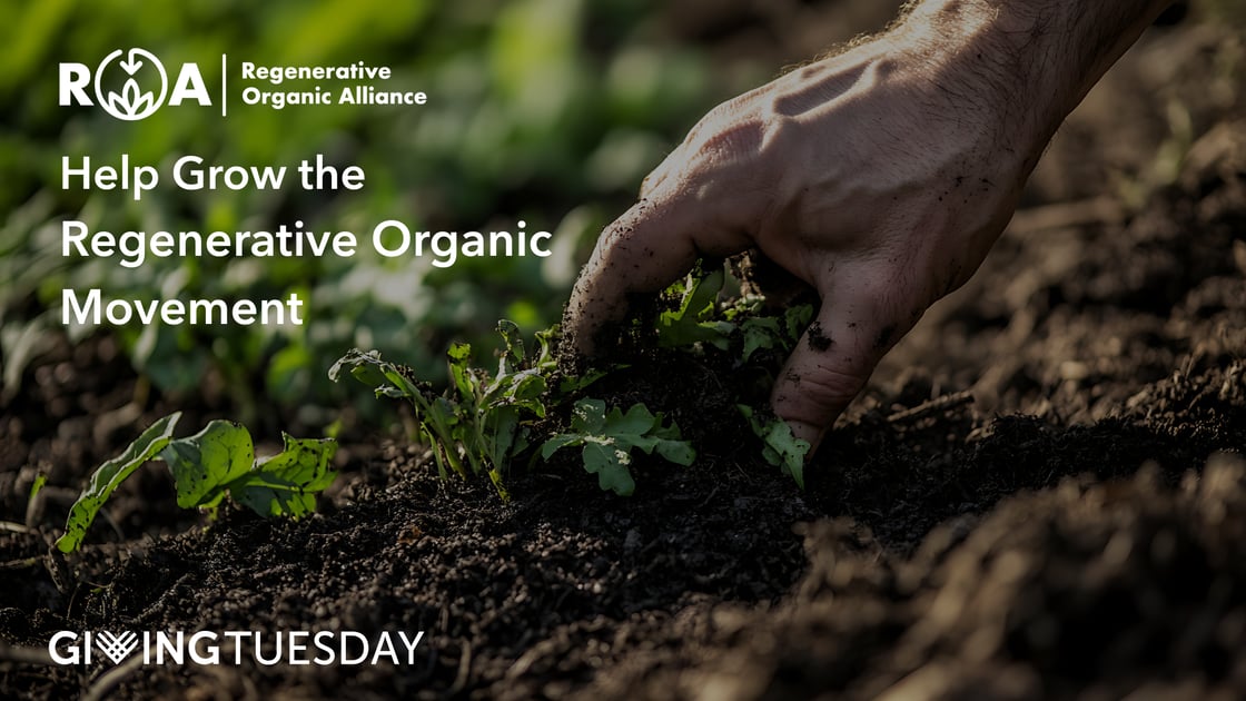 soil 2- landscape (1)